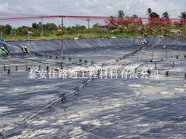 水產養殖防滲膜在藕池壩體防滲施工中的關鍵操作技巧